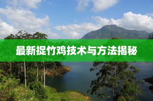 最新捉竹鸡技术与方法揭秘