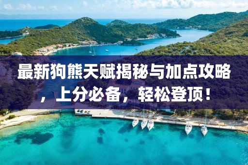 最新狗熊天赋揭秘与加点攻略，上分必备，轻松登顶！