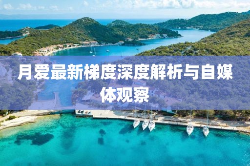 月爱最新梯度深度解析与自媒体观察