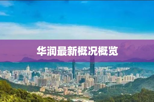 华润最新概况概览