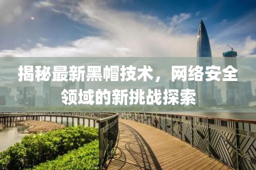 揭秘最新黑帽技术，网络安全领域的新挑战探索