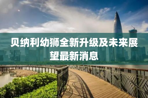 贝纳利幼狮全新升级及未来展望最新消息