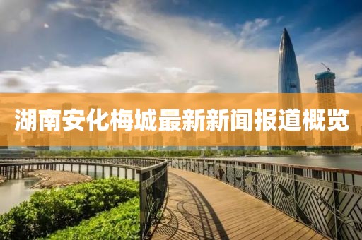 湖南安化梅城最新新闻报道概览