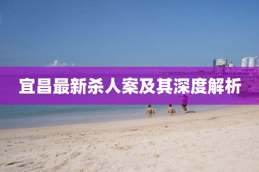 宜昌最新杀人案及其深度解析