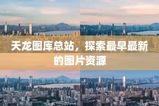 天龙图库总站，探索最早最新的图片资源