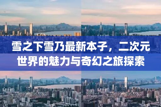 sou 第28页