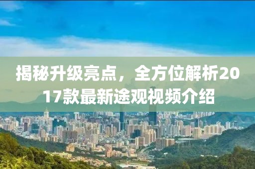 王艺迪 第29页