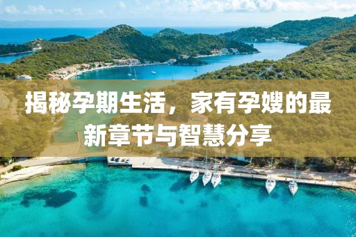 揭秘孕期生活，家有孕嫂的最新章节与智慧分享