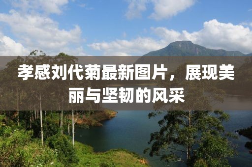 孝感刘代菊最新图片，展现美丽与坚韧的风采