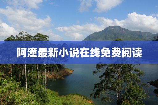 阿潼最新小说在线免费阅读