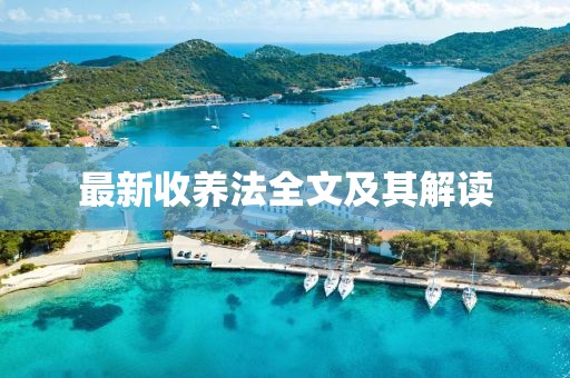 最新收养法全文及其解读