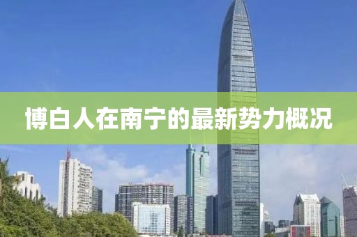 博白人在南宁的最新势力概况