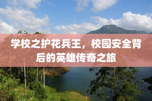 学校之护花兵王，校园安全背后的英雄传奇之旅