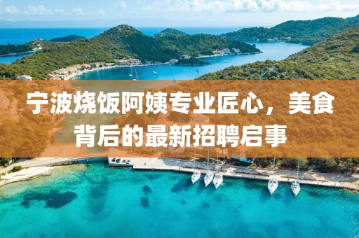 宁波烧饭阿姨专业匠心，美食背后的最新招聘启事