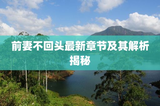 前妻不回头最新章节及其解析揭秘