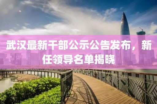 武汉最新干部公示公告发布，新任领导名单揭晓