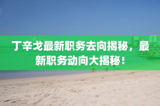 丁辛戈最新职务去向揭秘，最新职务动向大揭秘！