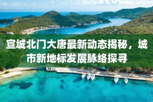 宣城北门大唐最新动态揭秘，城市新地标发展脉络探寻