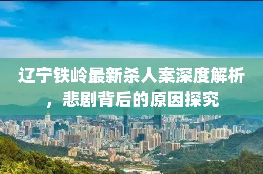 辽宁铁岭最新杀人案深度解析，悲剧背后的原因探究