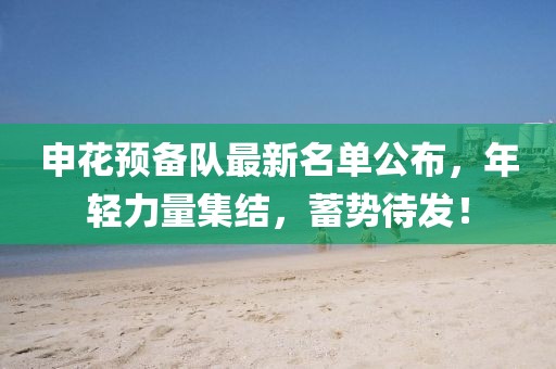 申花预备队最新名单公布，年轻力量集结，蓄势待发！