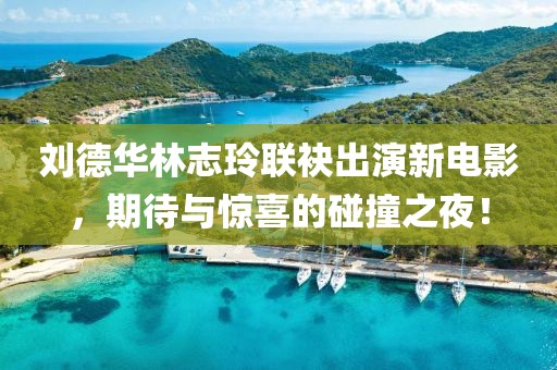 刘德华林志玲联袂出演新电影，期待与惊喜的碰撞之夜！