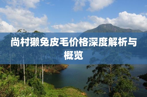 尚村獭兔皮毛价格深度解析与概览