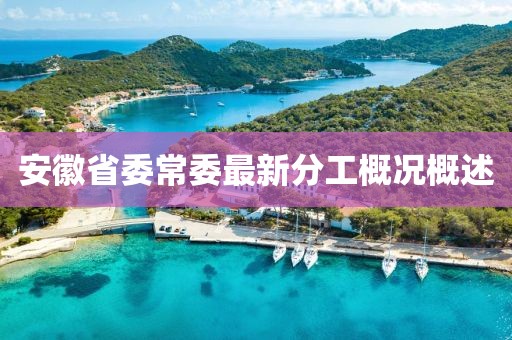 安徽省委常委最新分工概况概述