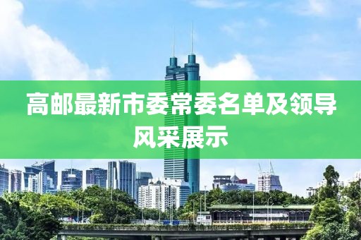 高邮最新市委常委名单及领导风采展示