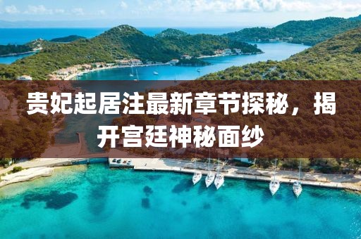 贵妃起居注最新章节探秘，揭开宫廷神秘面纱