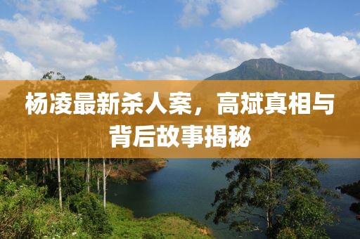 杨凌最新杀人案，高斌真相与背后故事揭秘