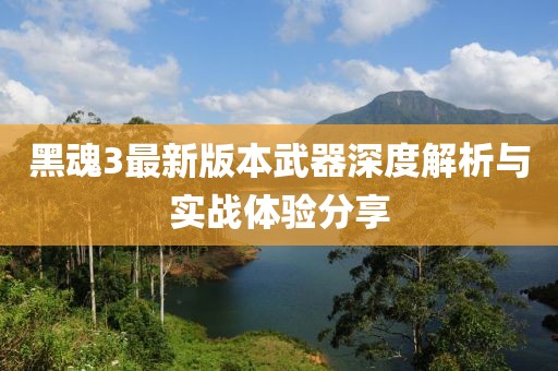 黑魂3最新版本武器深度解析与实战体验分享
