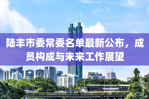 陆丰市委常委名单最新公布，成员构成与未来工作展望
