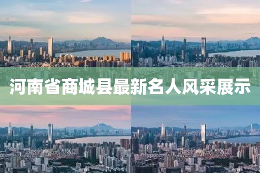 河南省商城县最新名人风采展示