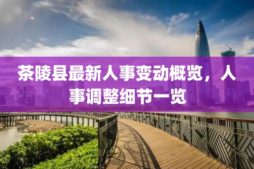 茶陵县最新人事变动概览，人事调整细节一览