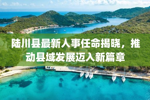 陆川县最新人事任命揭晓，推动县域发展迈入新篇章