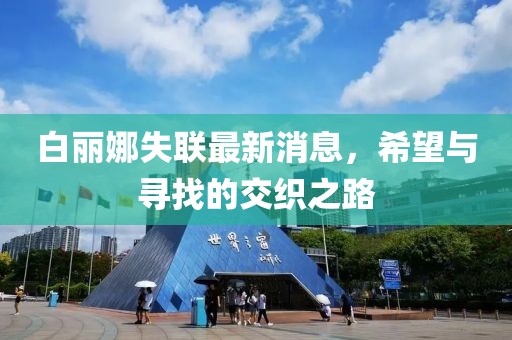 白丽娜失联最新消息，希望与寻找的交织之路