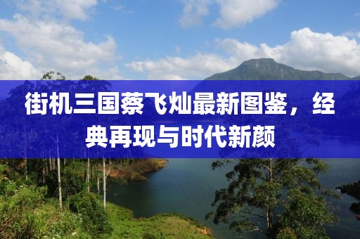 街机三国蔡飞灿最新图鉴，经典再现与时代新颜
