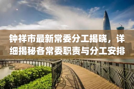 钟祥市最新常委分工揭晓，详细揭秘各常委职责与分工安排
