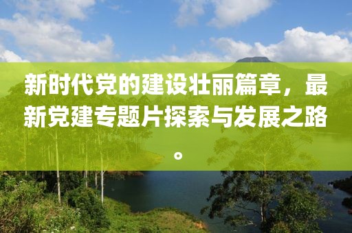 新时代党的建设壮丽篇章，最新党建专题片探索与发展之路。