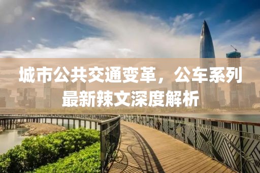 城市公共交通变革，公车系列最新辣文深度解析