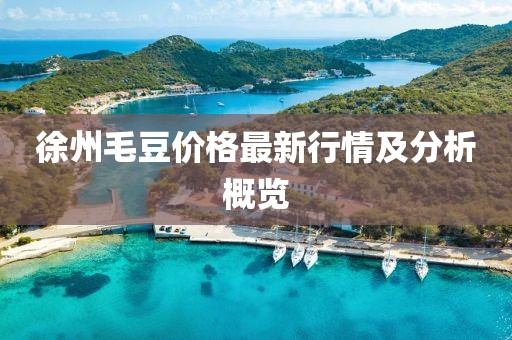 徐州毛豆价格最新行情及分析概览