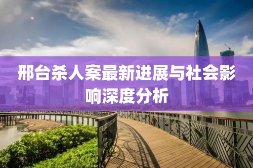 邢台杀人案最新进展与社会影响深度分析