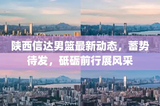 陕西信达男篮最新动态，蓄势待发，砥砺前行展风采