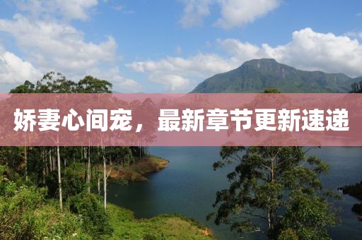 娇妻心间宠，最新章节更新速递