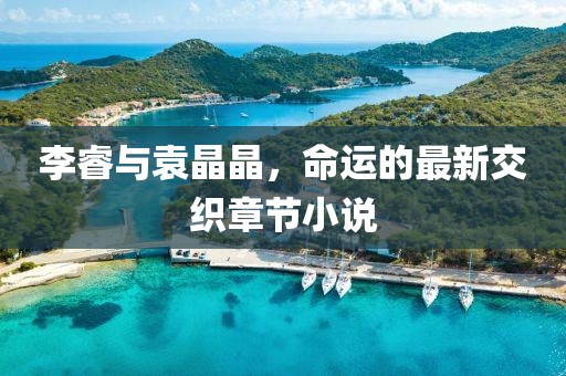 李睿与袁晶晶，命运的最新交织章节小说