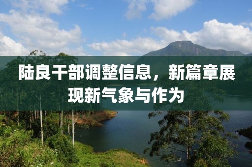 陆良干部调整信息，新篇章展现新气象与作为