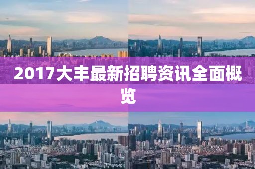 2017大丰最新招聘资讯全面概览