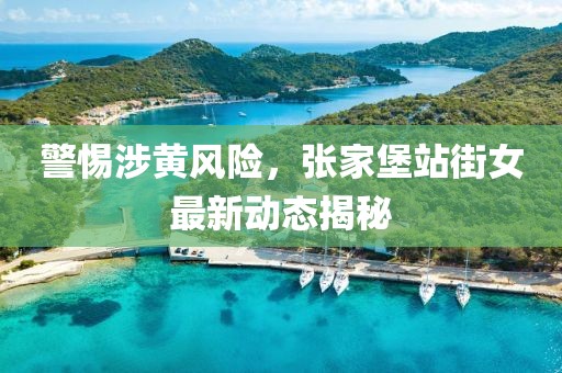 警惕涉黄风险，张家堡站街女最新动态揭秘
