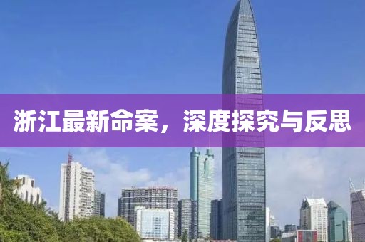 浙江最新命案，深度探究与反思