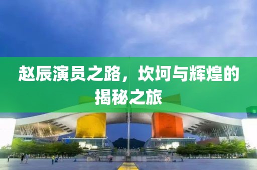 赵辰演员之路，坎坷与辉煌的揭秘之旅